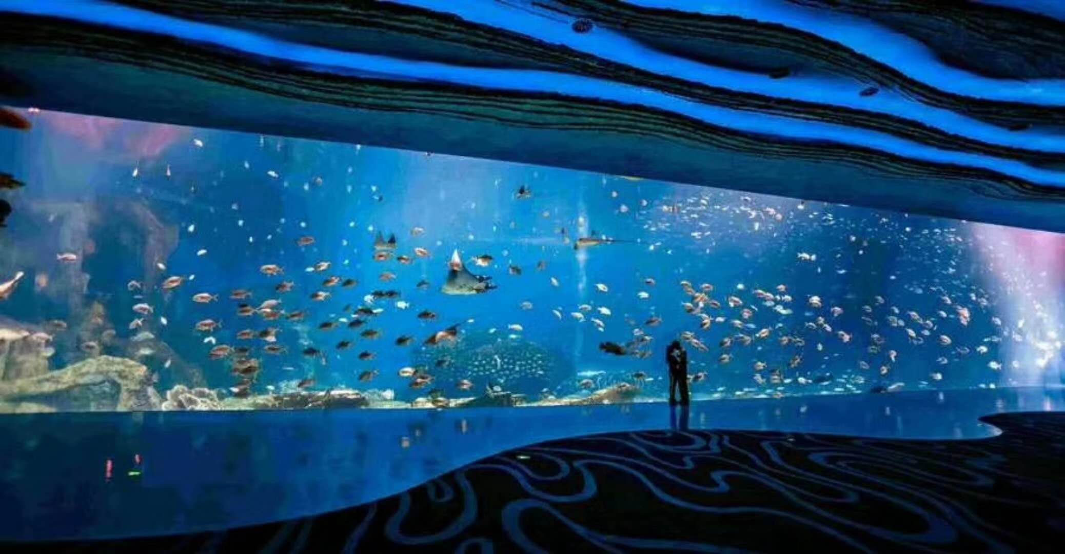 海洋館水族館生物養(yǎng)殖用水臭氧殺菌，滅藻