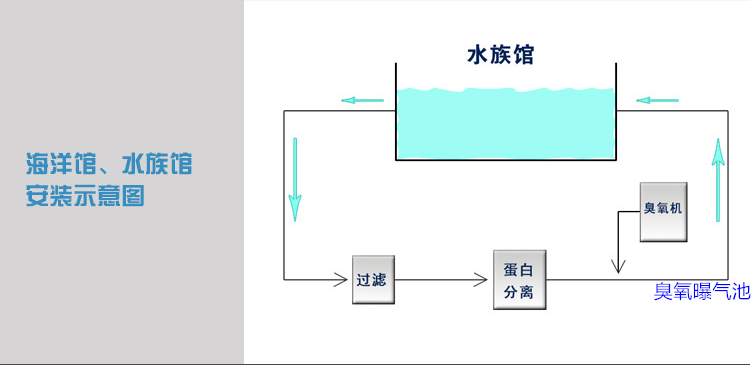 海洋館過(guò)濾，蛋分，臭氧，曝氣池.png